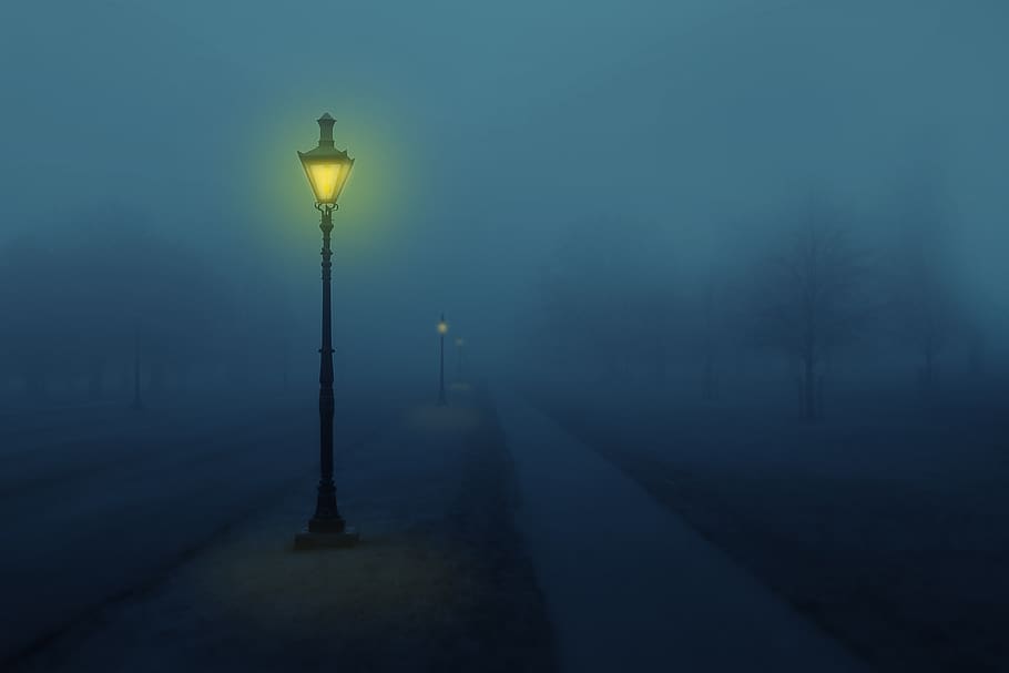 night, fog, street lamp, light, trees, lighting equipment, street light