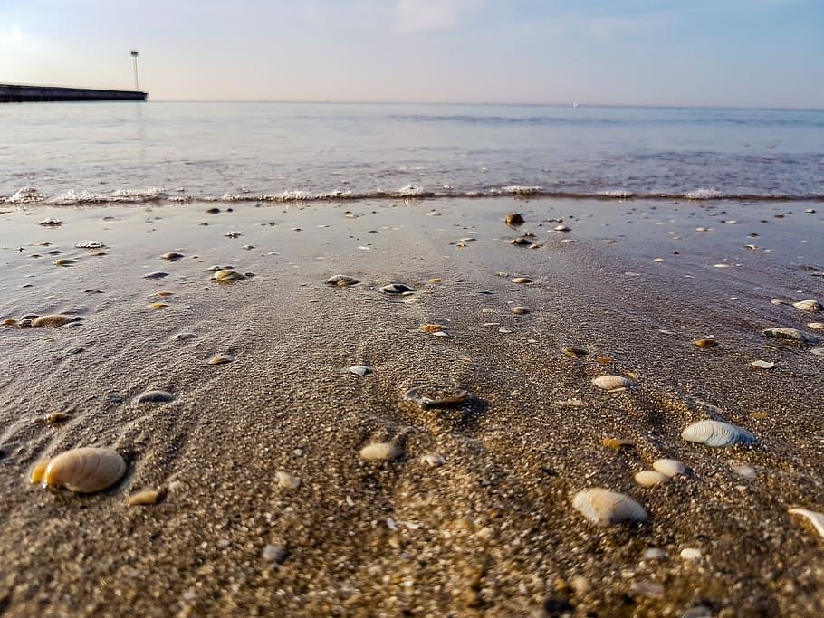 Sea, Sand, Sun, beach, sky, water, horizon over water, land HD wallpaper
