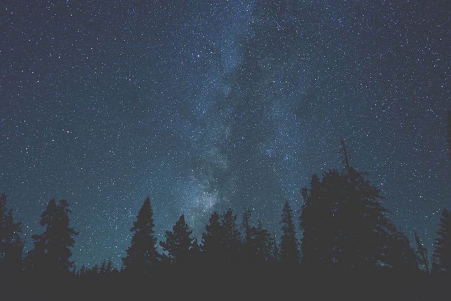Long exposure shot of the stars in night sky at Yosemite Valley, California, HD wallpaper