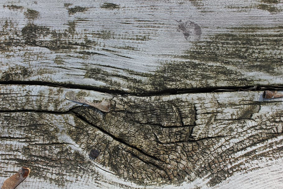 Wood, Gray, Nature, backgrounds, ancient, no people, close-up HD wallpaper