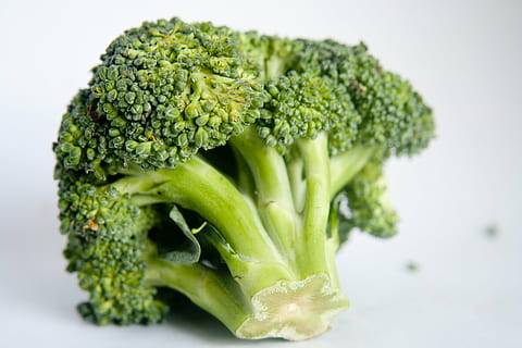 close-up photography of brocolli, broccoli, green, vegetables HD wallpaper