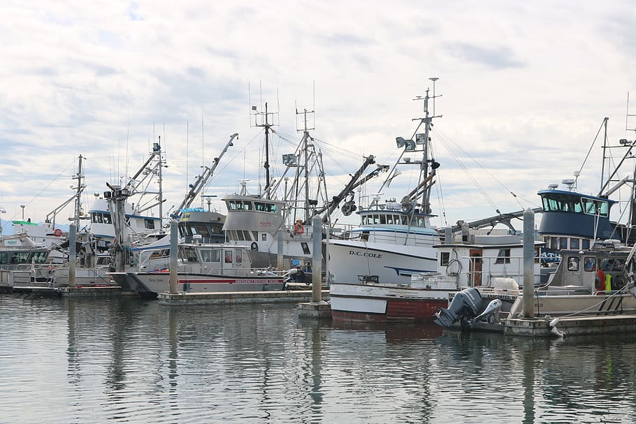 boats, marina, dock, nautical vessel, transportation, water HD wallpaper
