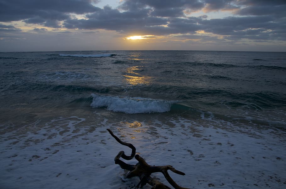 sunset, sea, dusk, water, beach, sky, scenics - nature, beauty in nature HD wallpaper