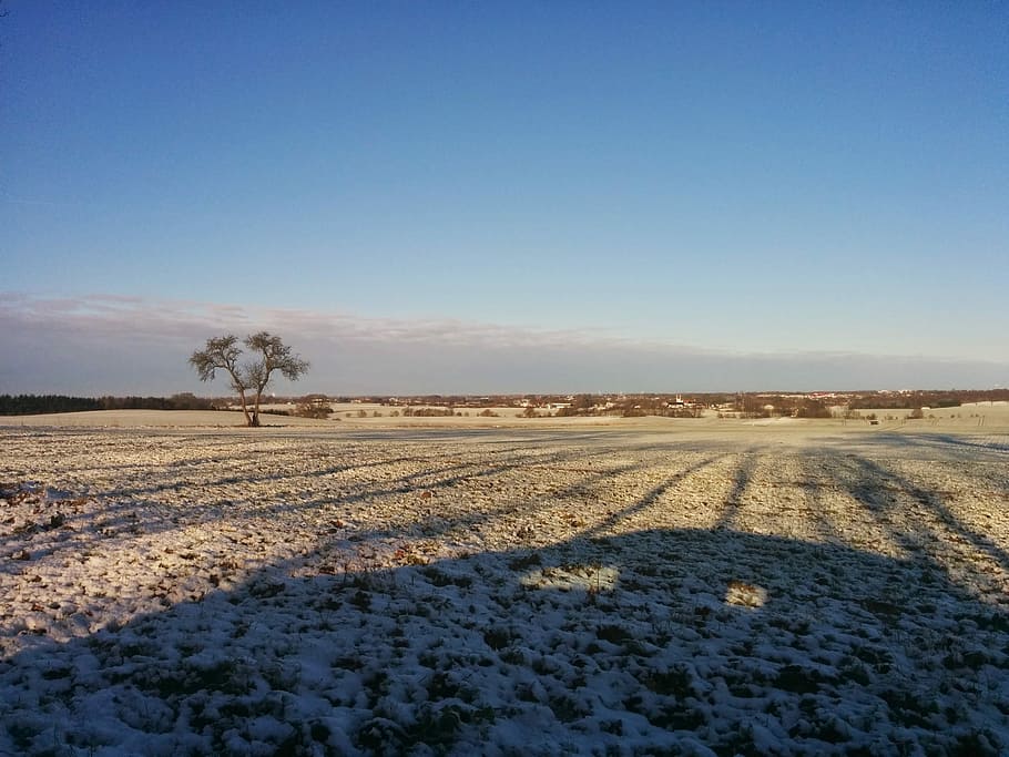 Winter, Nature, Cold, Snow, Landscape, season, morning, frost HD wallpaper