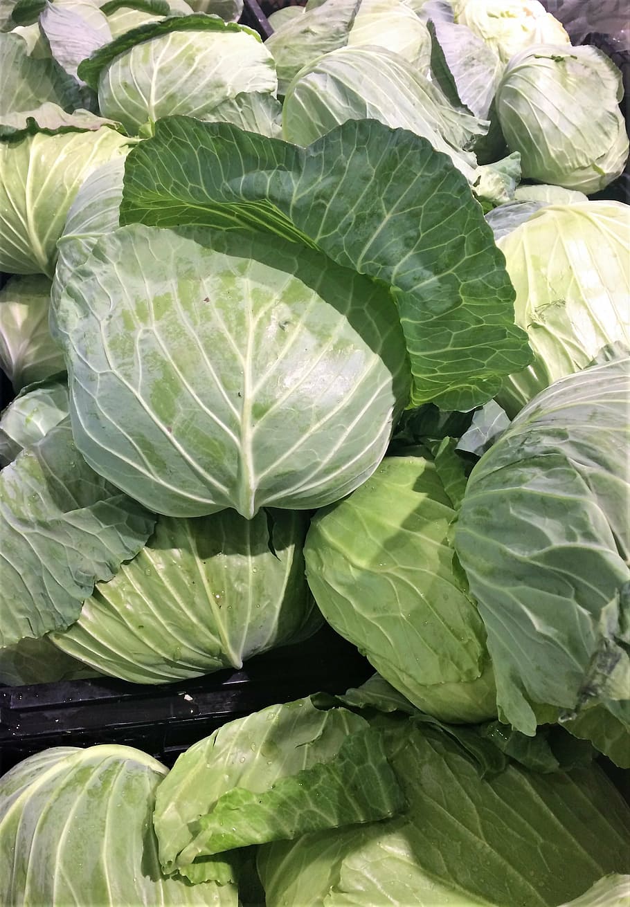 cabbage, leafy, white, green, vegetables, pile up, flatbed HD wallpaper