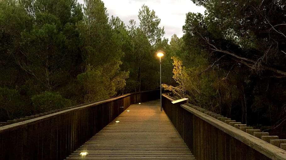 bridge, autumn, soledad, tree, plant, direction, the way forward HD wallpaper