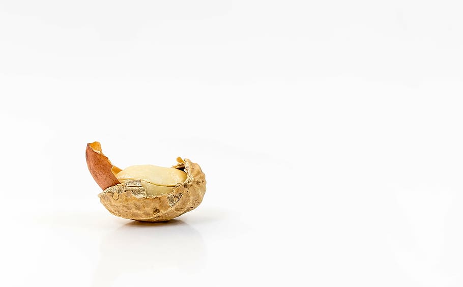 brown nuts, peanut, roasted, peanuts, snack, cores, nutrition HD wallpaper