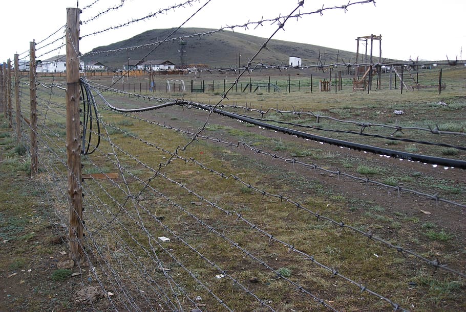 border, russo border, tashanta, steppe, fence, boundary, day HD wallpaper