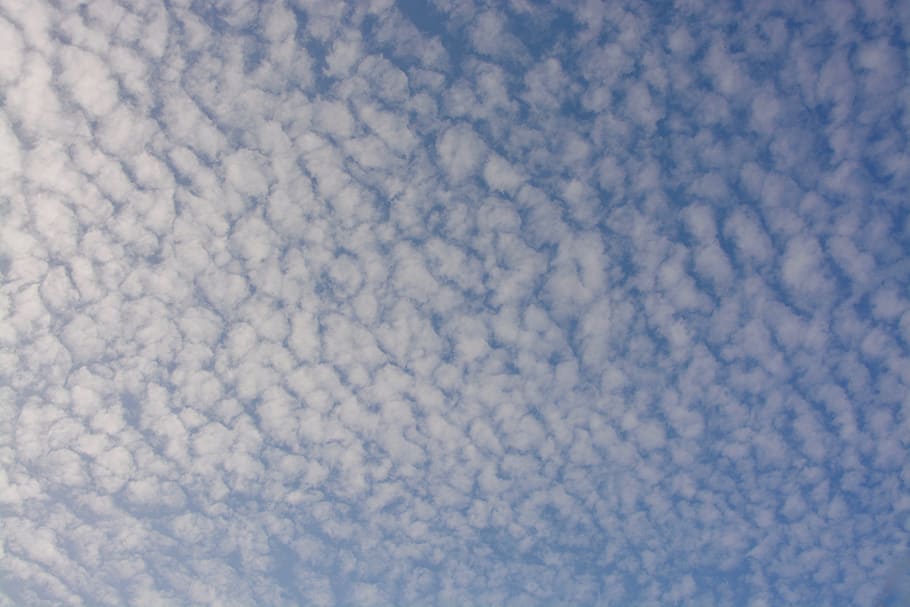 white clouds, sky, cloudy sky, sheep, cirrus, cloud - sky, no people HD wallpaper