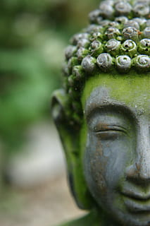 Buddha statue, image, garden, green, head, rest, face, human representation HD wallpaper