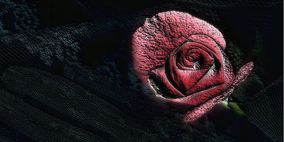 Rose, Red, Red, Wedding, Beautiful, Flower, flora, red roses HD wallpaper