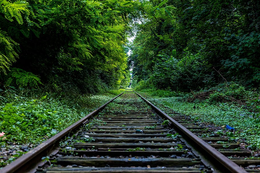 train rail between trees, railways, middle, daytime, green HD wallpaper