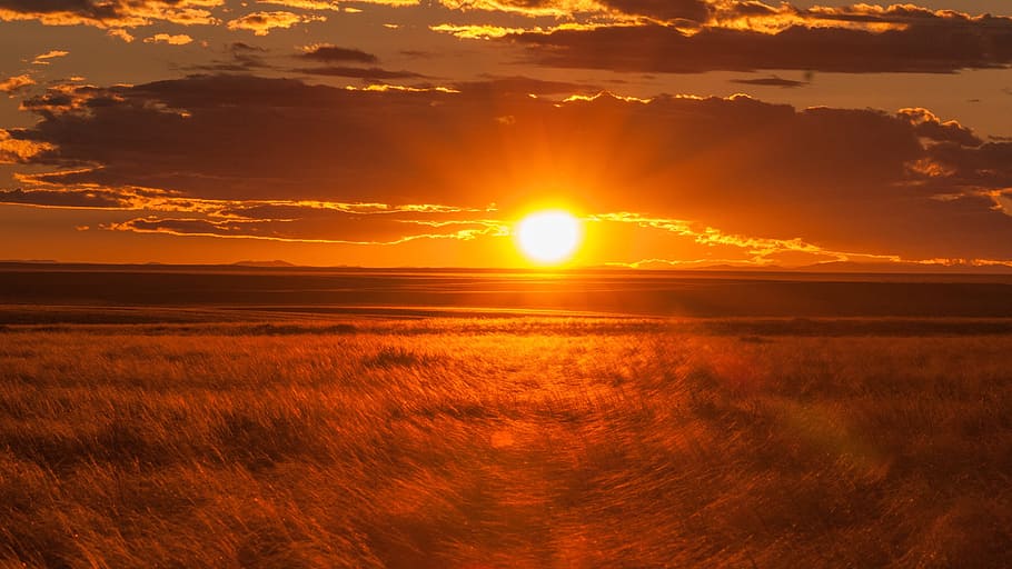 landscape photo of sunset over grassfield, mongolia, lighting