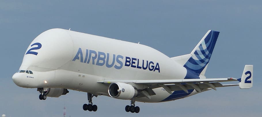 white and blue Airbus Beluga airliner, aircraft, cargo, cargo plane, HD wallpaper