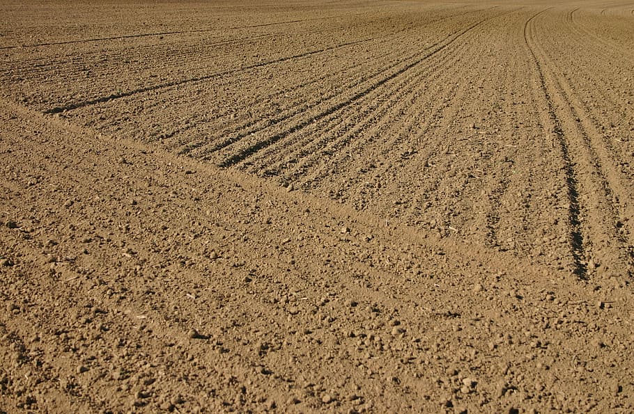 brown dirt, arable, ackerfurchen, furrow, agriculture, earth HD wallpaper