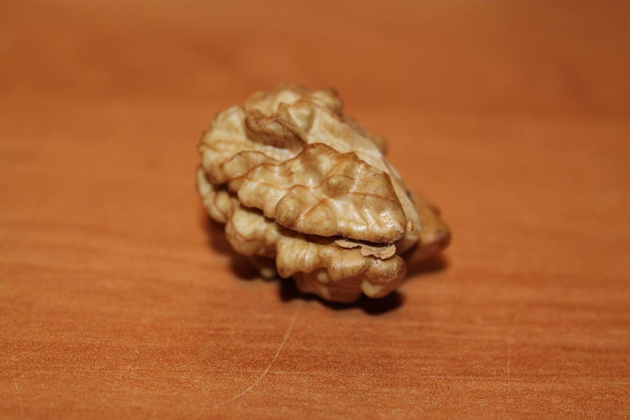 nut, walnut, fruit bowl, close, autumn, brain, walnuts, food HD wallpaper