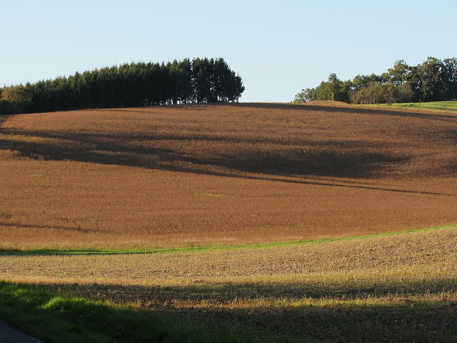 fields, landscape, arable, tree, plant, tranquil scene, tranquility HD wallpaper