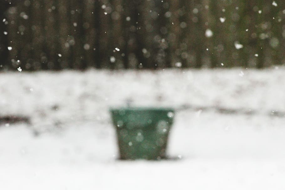 untitled, snow, snowing, garden, window, blurry, winter, cold temperature HD wallpaper