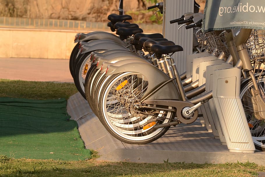 cycle, bicycle, sport, activity, happy, travel, biking, outdoor HD wallpaper