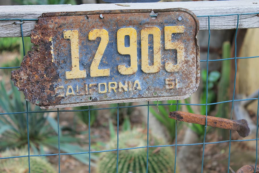 license plate, cactus, rustic, black, yellow, country, rural HD wallpaper