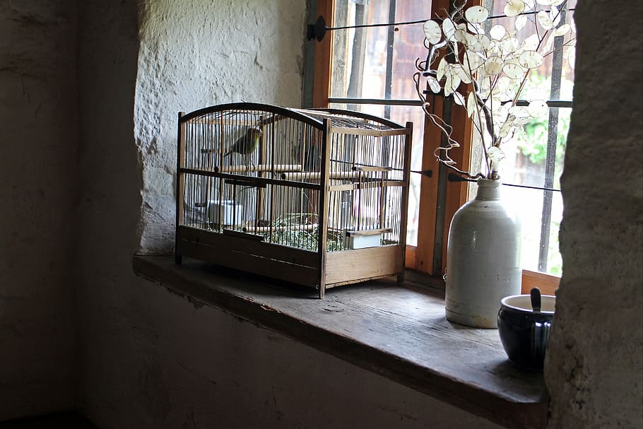brown wooden birdcage near window, bird cage, window sill, imprisoned