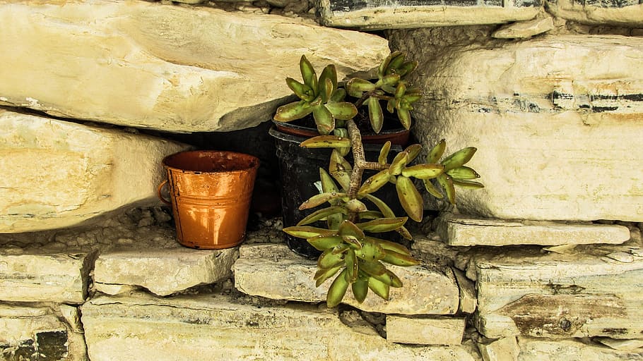 Flower Pot, Wall, Stone, Decoration, village, cyprus, kato lefkara HD wallpaper