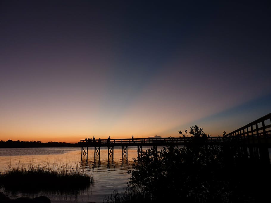 daytona beach, sunset, web, water, bank, mood, sea, sky, beauty in nature HD wallpaper