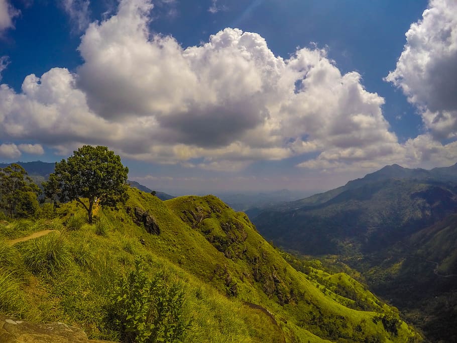 landscape photography of mountain, tree in mountain range, mountains HD wallpaper