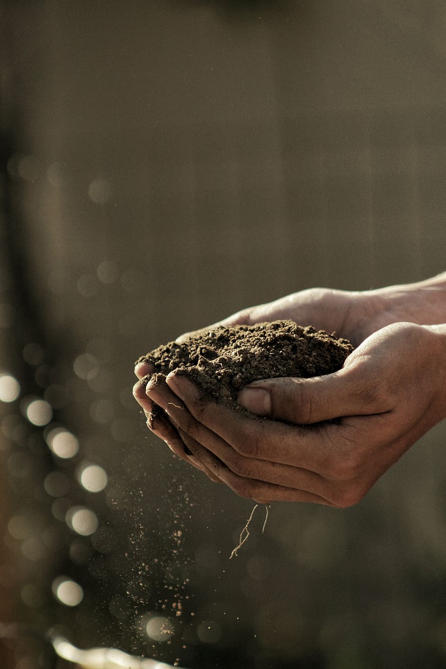 person holding brown soil in selective focus photography, dirty HD wallpaper
