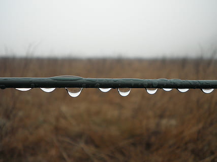raindrop, series, wire, close, drop of water, metal, barbed Wire HD wallpaper