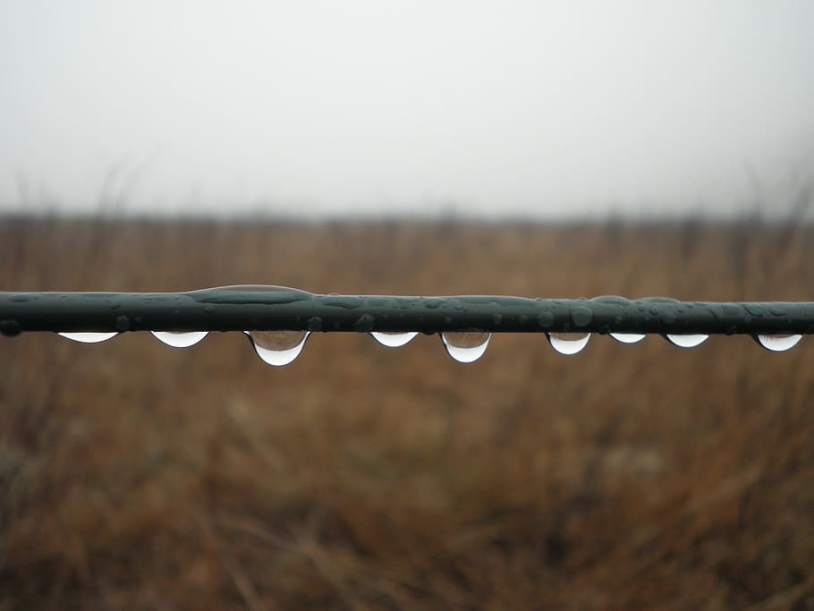 raindrop, series, wire, close, drop of water, metal, barbed Wire, HD wallpaper