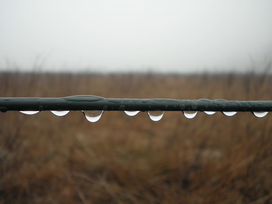 raindrop, series, wire, close, drop of water, metal, barbed Wire HD wallpaper