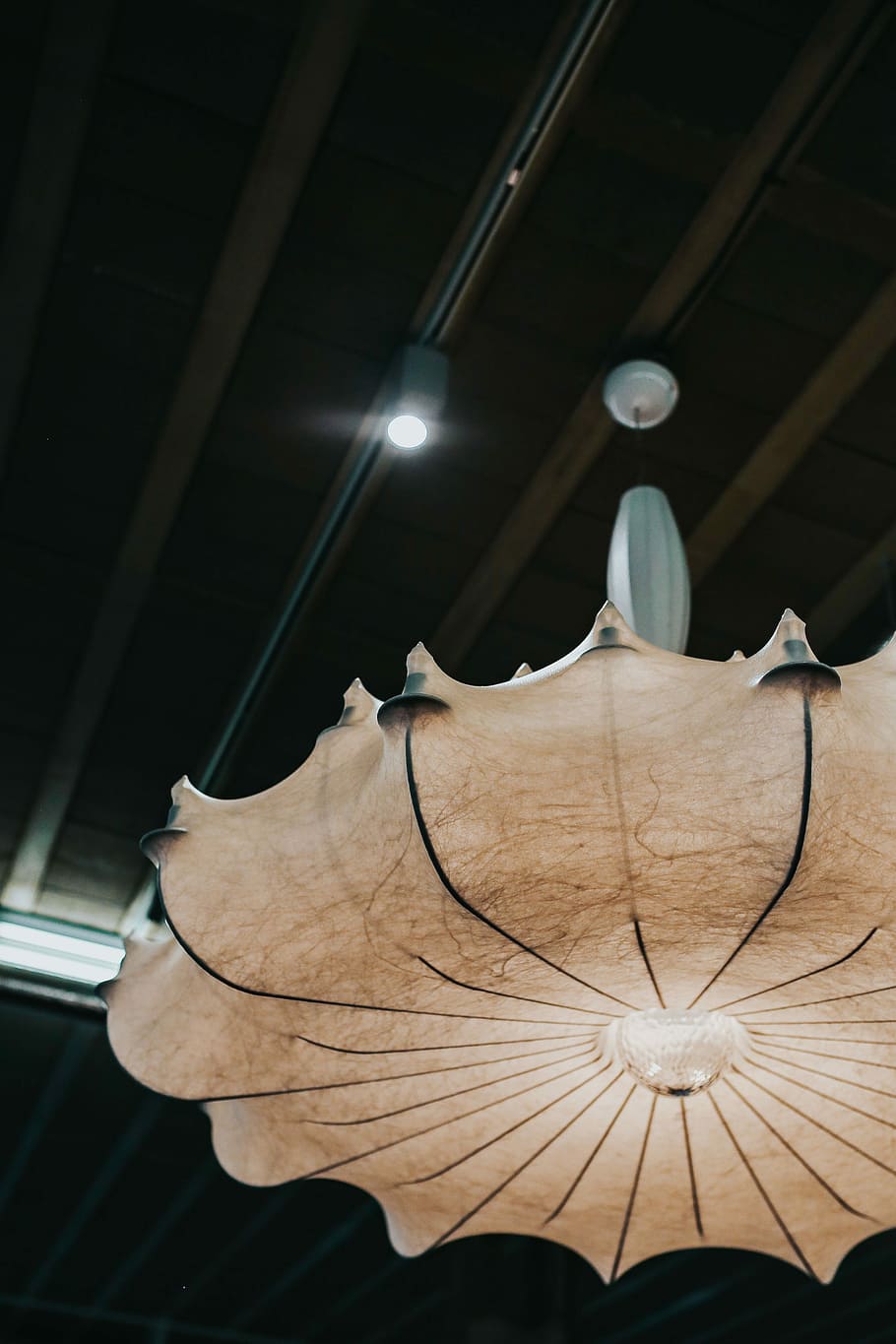 Light and lamps at an exhibition, shade, chandelier, display HD wallpaper
