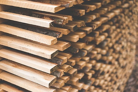 Freshly Cut Wood Stacked for Lumber Air Drying, felling, forest HD wallpaper