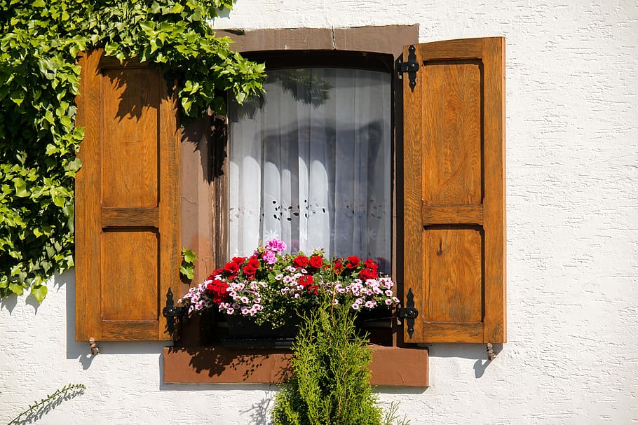 window, shutter, flower box, house, shutters, building, facade HD wallpaper