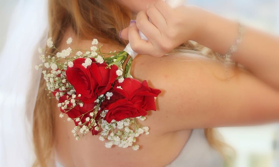 person holding red rose bouquet, flor, flores, nature, flower
