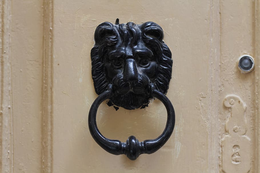 door, knocker, lion, head, entrance, metal, door knocker, safety HD wallpaper