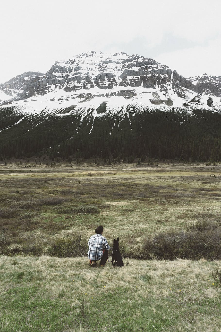 man sitting beside dog near glacier mountain at daytime, people HD wallpaper