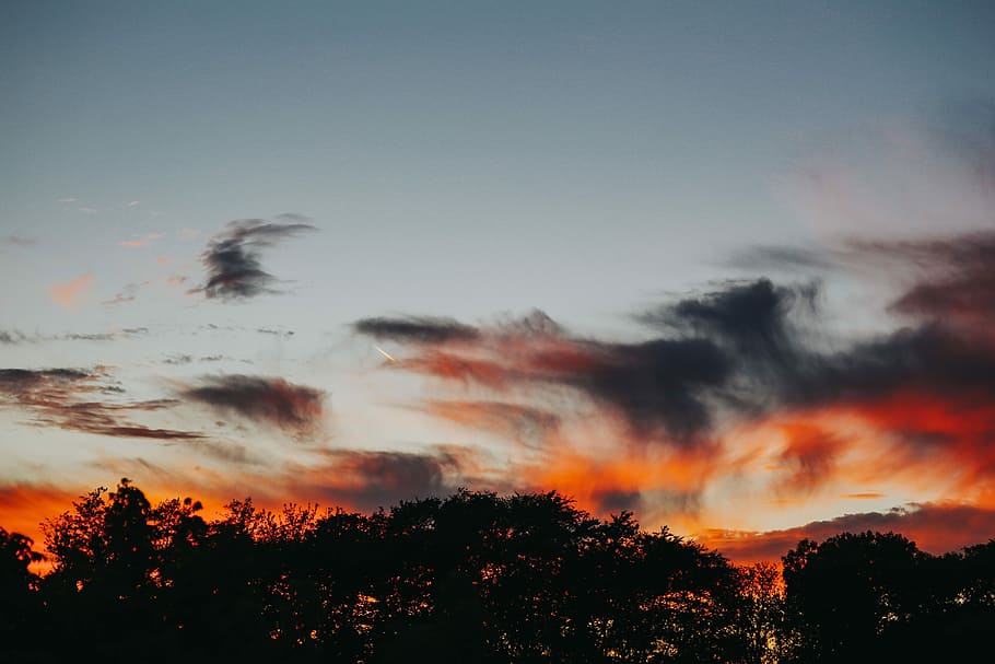 Sunset over the forest, nature, sky, trees, atmospheric, clouds HD wallpaper