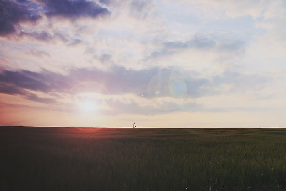 sunset, sky, clouds, field, grass, nature, landscape, sun rays HD wallpaper