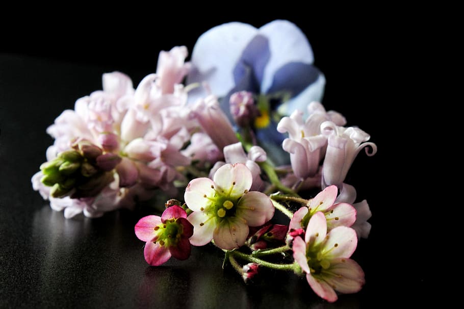 spring, flowers, background, pastel, color, black background HD wallpaper