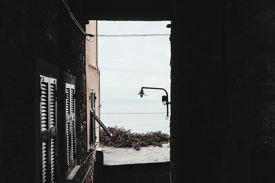 photo of door opened near pink petaled flowers, post lamp near beige building HD wallpaper