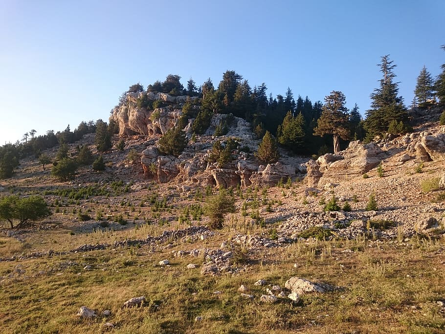 rocky, s, cave, wells, taurus highland, overview, nature, forest HD wallpaper