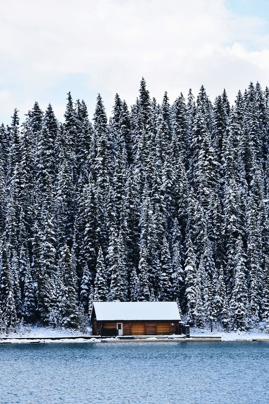 snow-covered pine trees, photography of snow covered house next to pine trees during daytime HD wallpaper