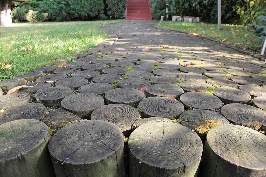 Wood, Path, Moss, in a row, no people, outdoors, day, large group of objects HD wallpaper