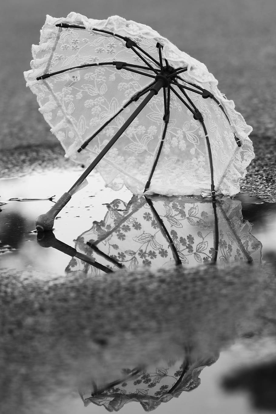 umbrella, puddle, water, close-up, no people, nature, focus on foreground HD wallpaper