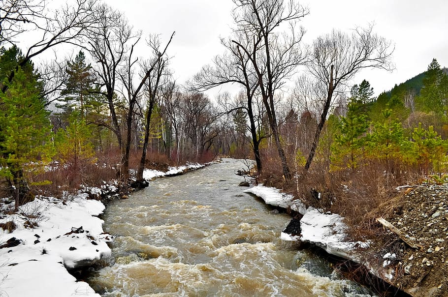 river in the middle of forest duringdaytime, nature, over, snow HD wallpaper