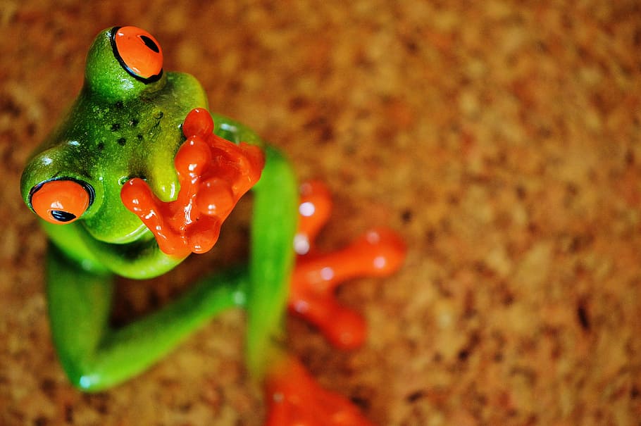 frog, funny, figure, cute, ceramic, frogs, sweet, animal, green HD wallpaper