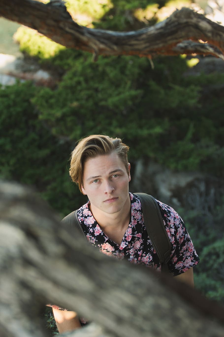 man watching tree branch during daytime, man in pink and black floral shirt HD wallpaper