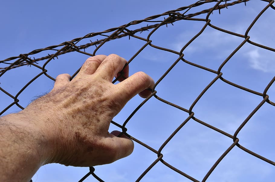person holding brown metal chain link fence at during daytime HD wallpaper
